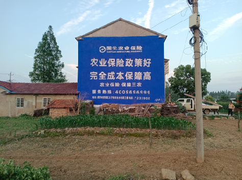  常山墙体广告的优劣势你知道吗？